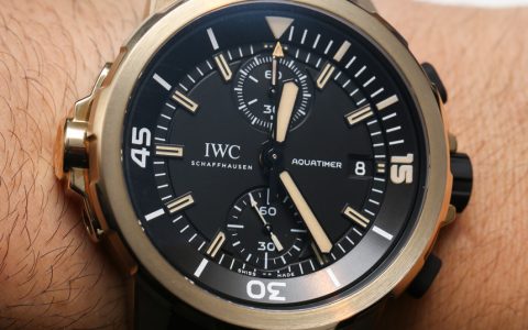 IWC海洋時計計時碼表查爾斯達爾文青銅腕表